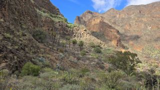 2024-11-GranCan-Guayadeque-046.jpg